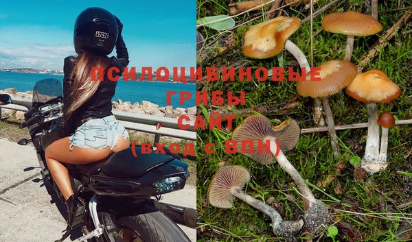 прущая мука Костерёво