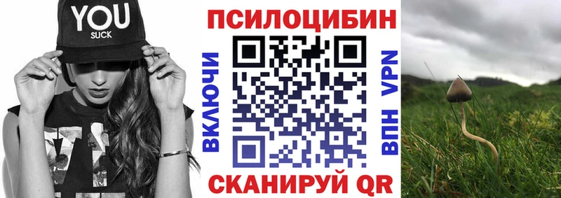 Псилоцибиновые грибы прущие грибы  Купить  Дедовск 
